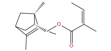 exo-Arbozyl (Z)-2-methyl-2-butenoate